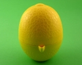 wyciskacz do cytryn 9.JPG