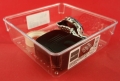 organizer modułowy 15,3x15,3 cm czerwony 3.JPG
