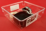 ORGANIZER MODUŁOWY DO SZUFLADY 15,3x15,3 cm